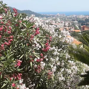Ospitalità In Campagna Maison d'hôtes Quiliano
